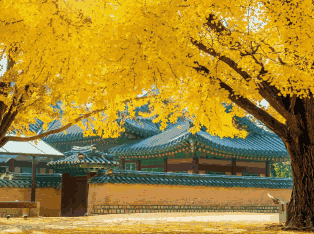 韩国外贸数据,外贸数据,EVO视讯官网外贸数据